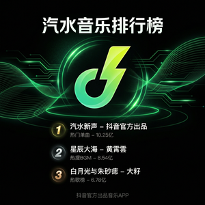 汽水音乐用户常见投诉问题介绍